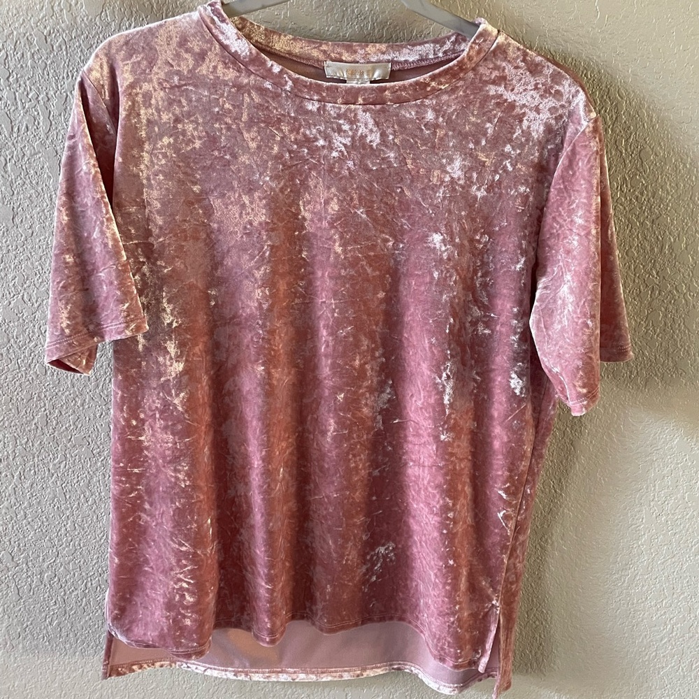 Forever21 short sleeve pink top in crushed velvet